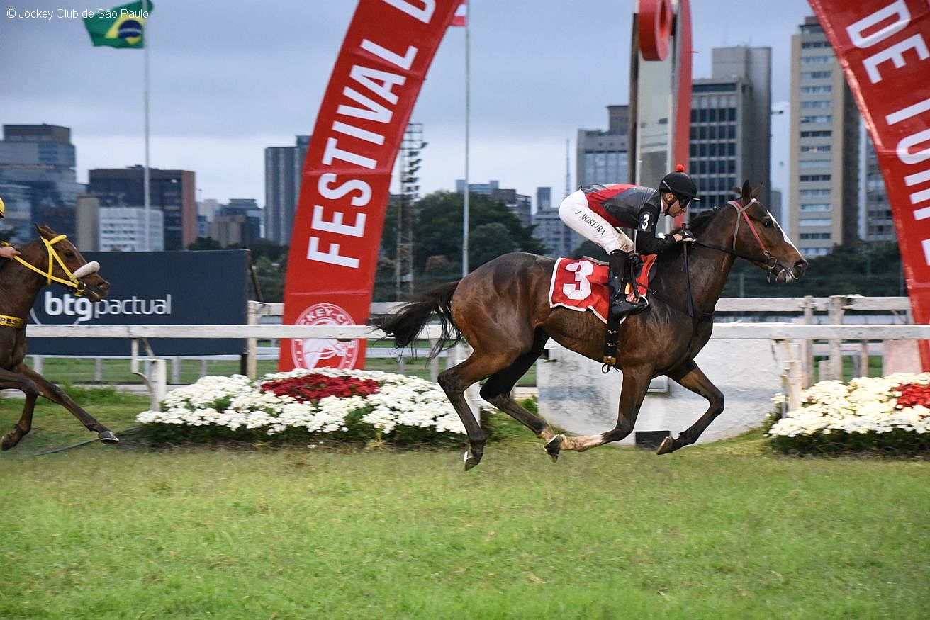 De volta a Cidade Jardim, Samurai do Iguassu levanta listed race