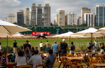Festival do GPSP 2026