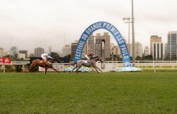 Festival do GPSP 2026