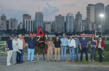 Festival do GPSP 2026