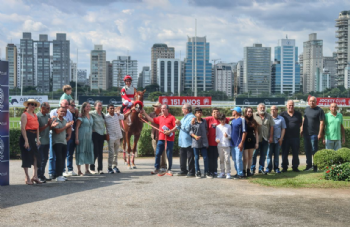 Festival do GPSP 2026