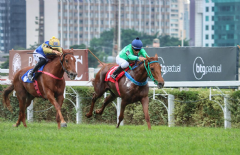 Festival do GPSP 2026