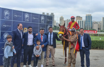Festival do GPSP 2026