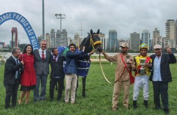 Festival do GPSP 2026