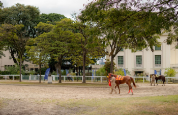 Festival do GPSP 2026