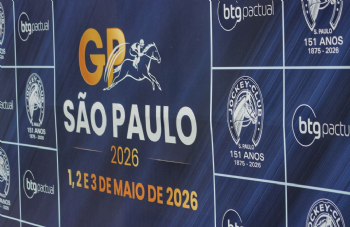 Festival do GPSP 2026
