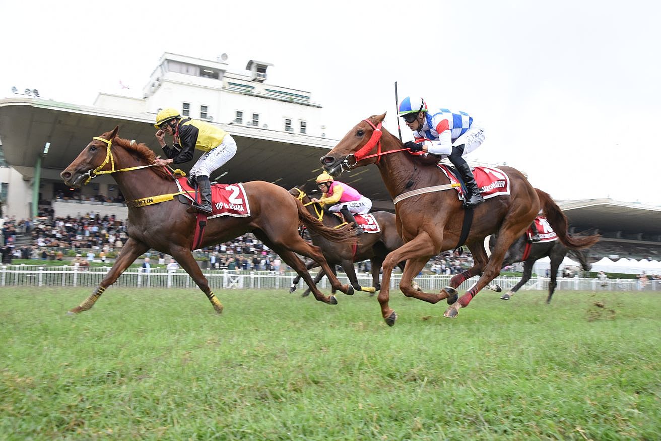 Vip Na Balada impõe suas virtudes e vence o GP Barão de Piracicaba (G1)